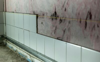 Mold Coverage in Texas Homeowners Insurance: What Is Covered, What Is Not, and How to Close the Gap