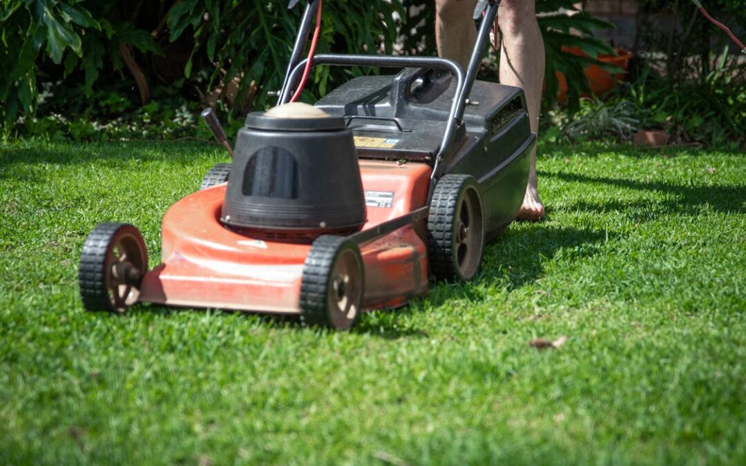 Landscaping and Lawn Care Insurance in Texas: What You Need