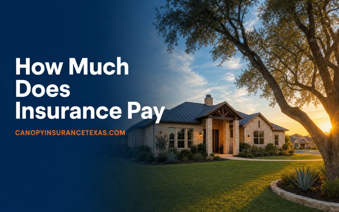 How Much Does Insurance Pay to Replace Carpet in Texas