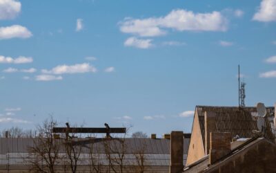 Roofing Contractor Insurance Texas